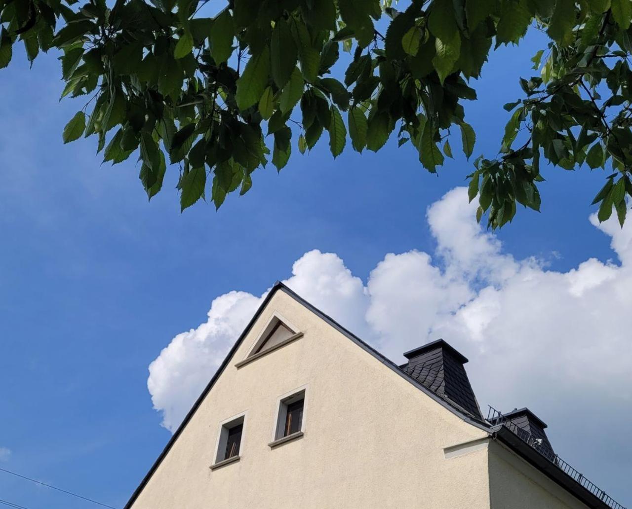 Fewo Weitblick In Hoehenlage Von Greiz Εξωτερικό φωτογραφία